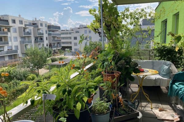 Prodej bytu 3+1 78 m², Axel-Corti-Gasse 8, Wien, Wien Prodej bytu 3+1 78 m², Axel-Corti-Gasse 8, Wien, Wien