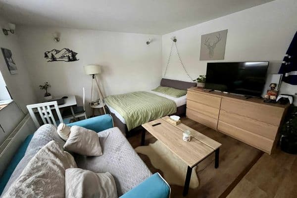 Pronájem bytu 1+kk 24 m², Jana Nepomuckého, Březí Pronájem bytu 1+kk 24 m², Jana Nepomuckého, Březí