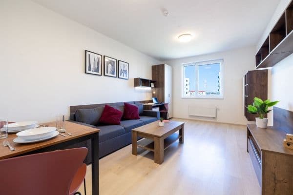 Pronájem bytu 2+1 43 m², Magisterská, Plzeň, Plzeňský kraj Pronájem bytu 2+1 43 m², Magisterská, Plzeň, Plzeňský kraj