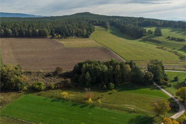 Prodej pozemku 3.176 m², Cetenov Prodej pozemku 3.176 m², Cetenov