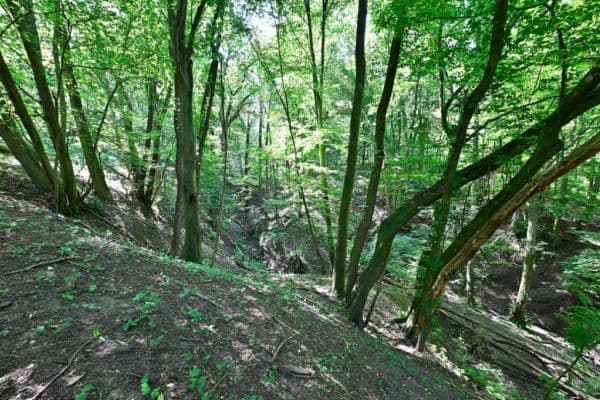 Prodej pozemku 3.400 m², Hřbitovní, Ústí nad Labem Prodej pozemku 3.400 m², Hřbitovní, Ústí nad Labem