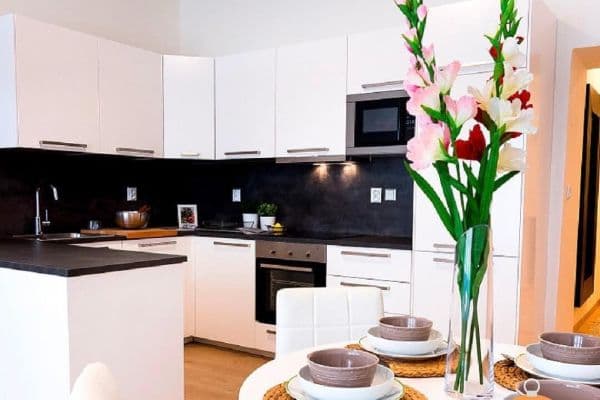 Pronájem bytu 2+kk 55 m², Merhautova, Brno Pronájem bytu 2+kk 55 m², Merhautova, Brno