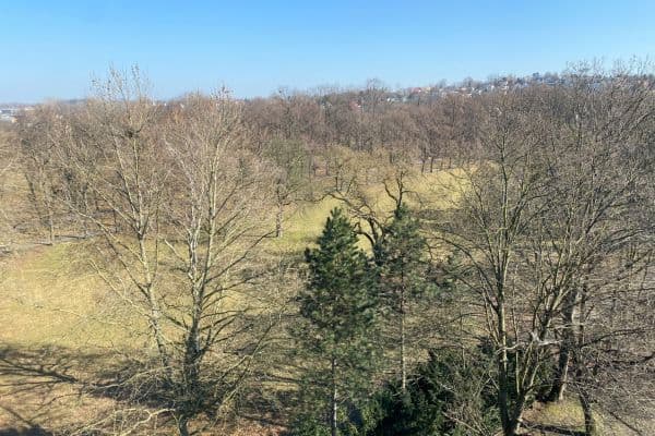 Pronájem bytu 2+1 59 m², U Parku, Ostrava Pronájem bytu 2+1 59 m², U Parku, Ostrava