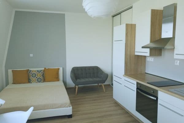 Pronájem bytu 1+kk 30 m², Pastrnkova, Brno, Jihomoravský kraj Pronájem bytu 1+kk 30 m², Pastrnkova, Brno, Jihomoravský kraj