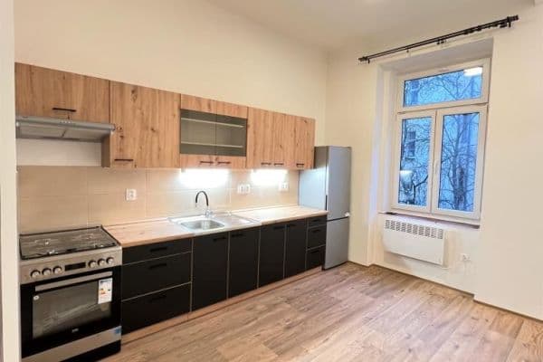 Pronájem bytu 1+1 39 m², Mánesova, Praha Pronájem bytu 1+1 39 m², Mánesova, Praha