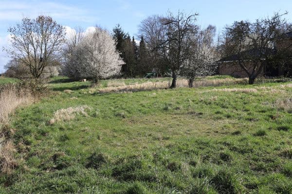 Prodej pozemku 1.017 m², Zur Rönnwettern 35, Seester Prodej pozemku 1.017 m², Zur Rönnwettern 35, Seester