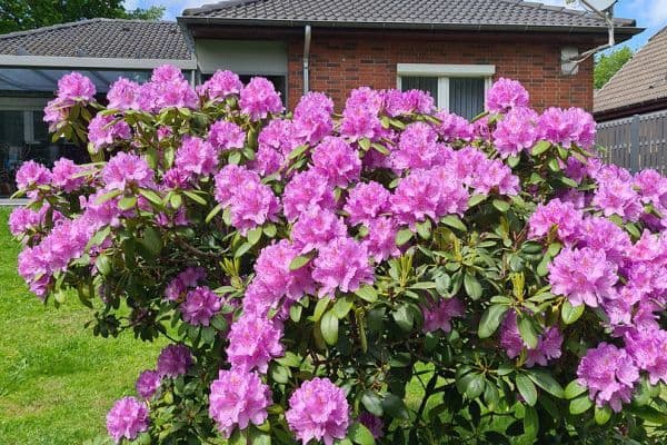 Prodej domu 102 m², pozemek 830 m², Hemmingstedt Prodej domu 102 m², pozemek 830 m², Hemmingstedt