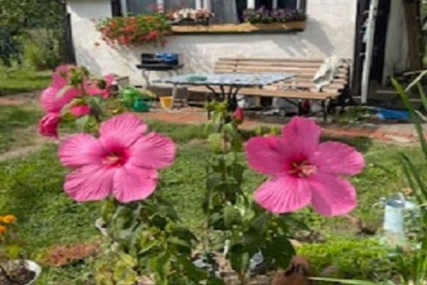 Prodej chaty, chalupy 16 m², pozemek 313 m², Na Rybářce, Praha Prodej chaty, chalupy 16 m², pozemek 313 m², Na Rybářce, Praha