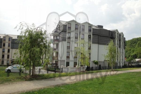 Pronájem bytu Pronájem bytu