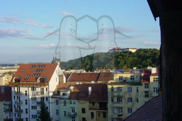 Pronájem bytu 3+kk 127 m², Čápkova, Brno Pronájem bytu 3+kk 127 m², Čápkova, Brno