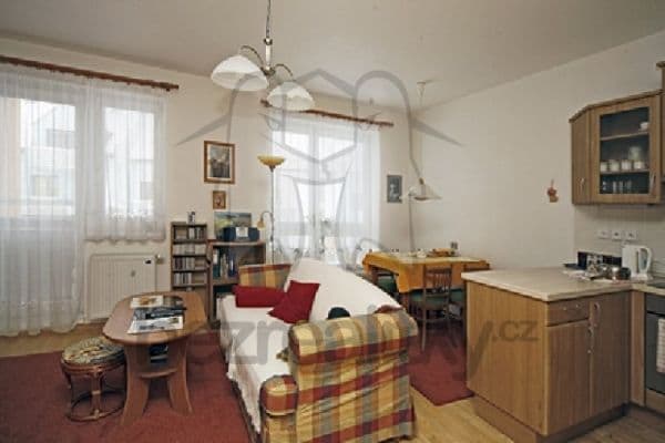 Pronájem bytu 1+kk 48 m², Netlucká,  Pronájem bytu 1+kk 48 m², Netlucká,