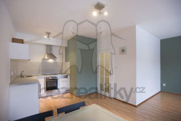 Pronájem bytu 1+kk 35 m², Plzeňská, Praha Pronájem bytu 1+kk 35 m², Plzeňská, Praha